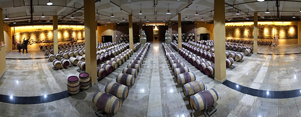 image037.jpg image037.jpg