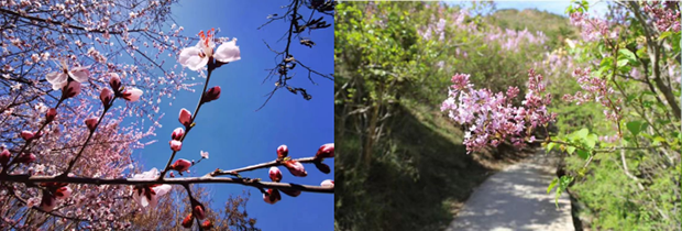 image005.png image005.png