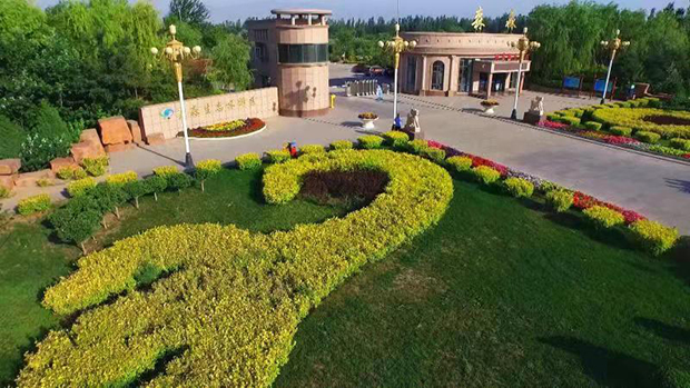 image003.jpg image003.jpg