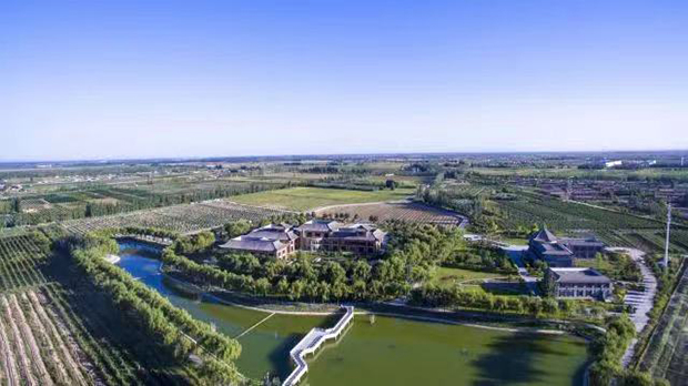 image005.jpg image005.jpg