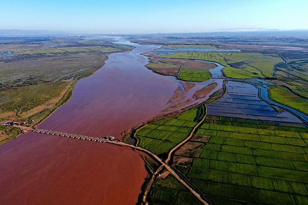 image005.jpg image005.jpg