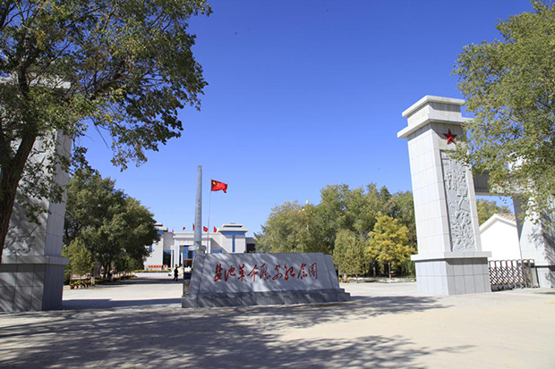 image005.jpg image005.jpg