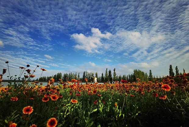 image031.jpg image031.jpg