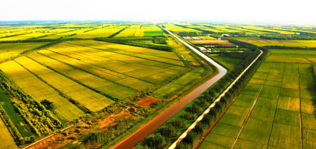 Honeyview_image009.jpg Honeyview_image009.jpg